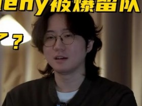 大发体育-LPL最能拉扯的教练诞生,大发助力你的致富之路!