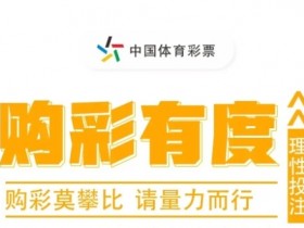 大发线上彩票理性购彩指南与心理疏导