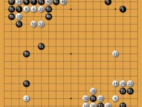 围棋定式大数据研究:胜率背后的布局演变正在被重新书写