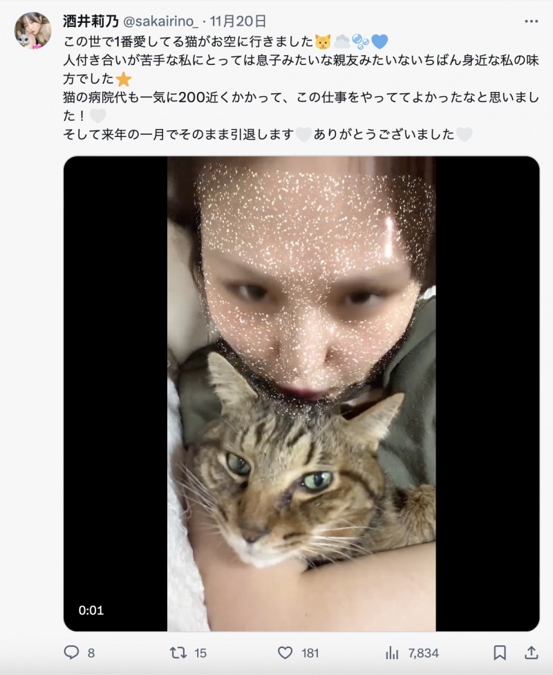 【博狗新闻】爱猫过世了⋯东北美人的她也不做了!